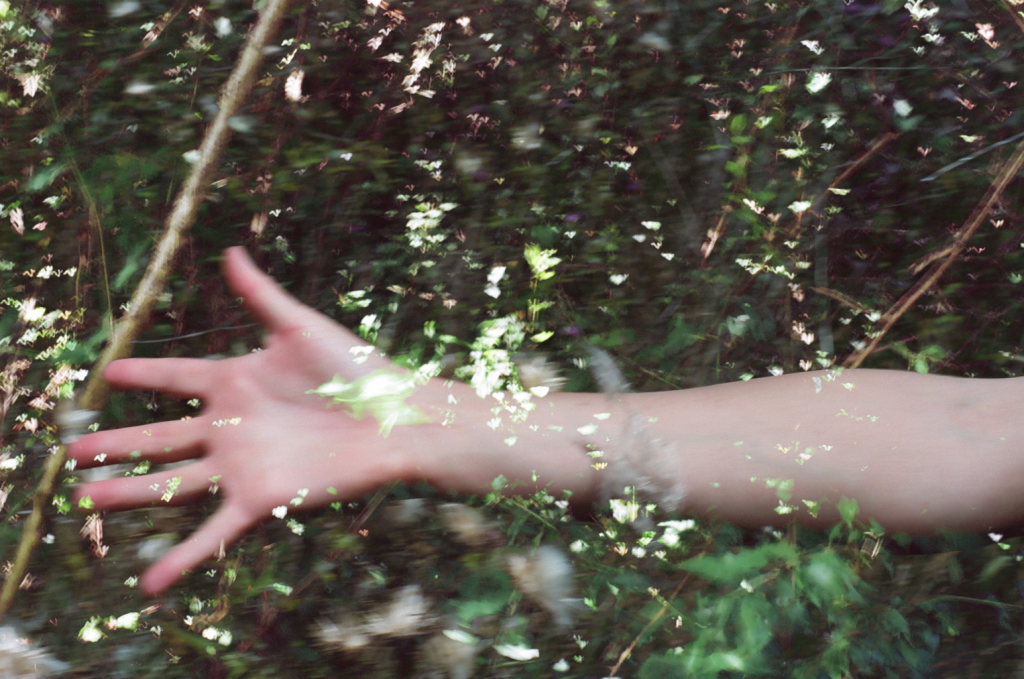 To Call You A Forest - Screening + Q&A