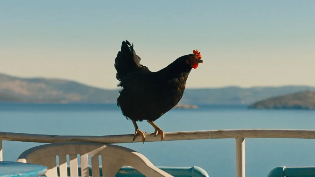 Hen