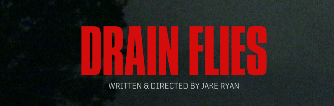 Drain Flies